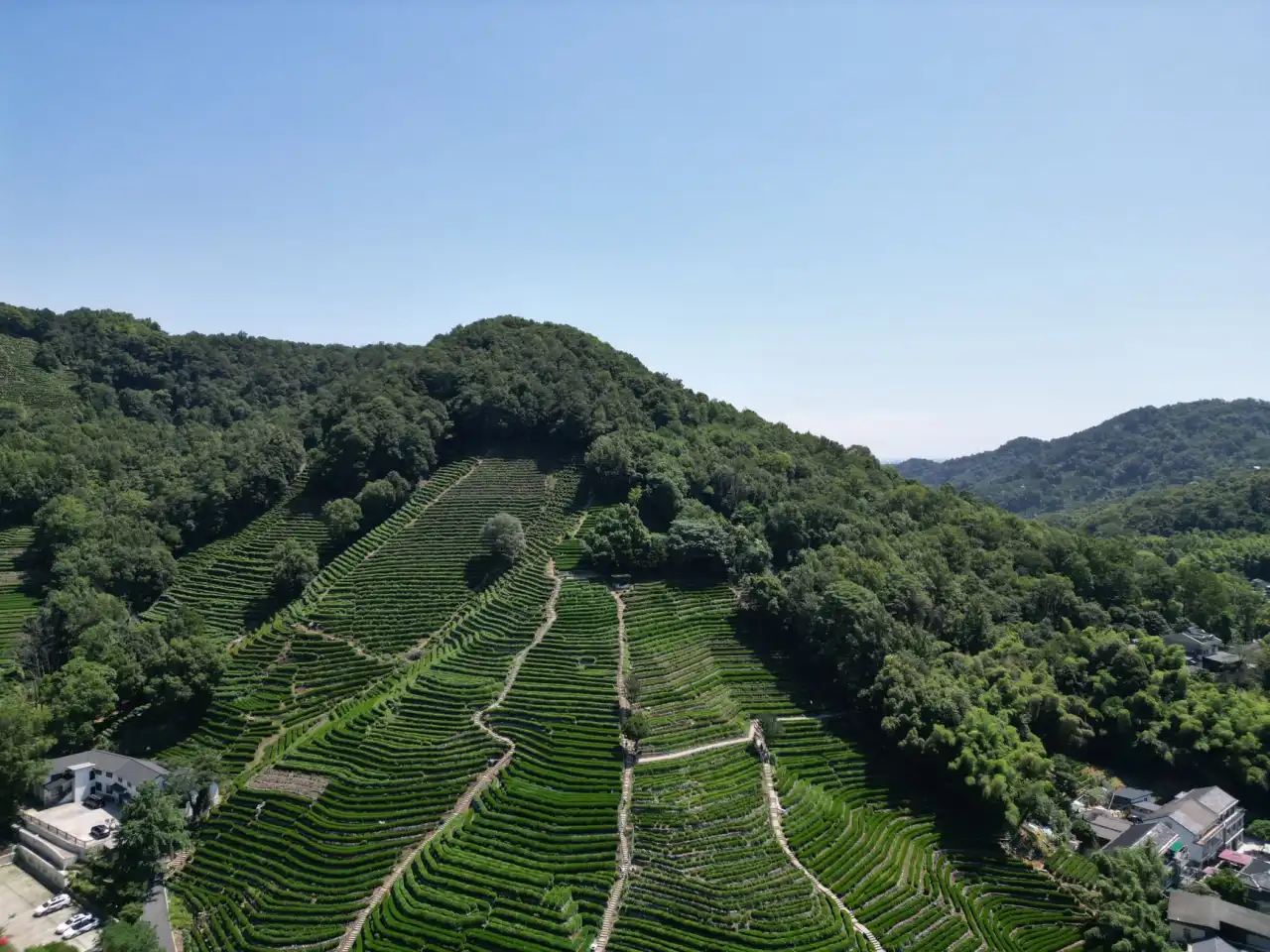 硅酮密封胶与聚氨酯胶粘剂性能对比及应用场景分析