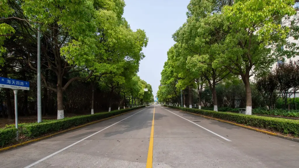 深圳信展胶业2024年新品密封胶型号参数对比与选型建议