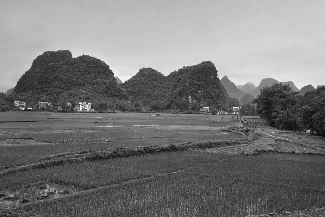 深圳信展胶业解析：工业胶粘剂粘接强度与密封性能的关键指标