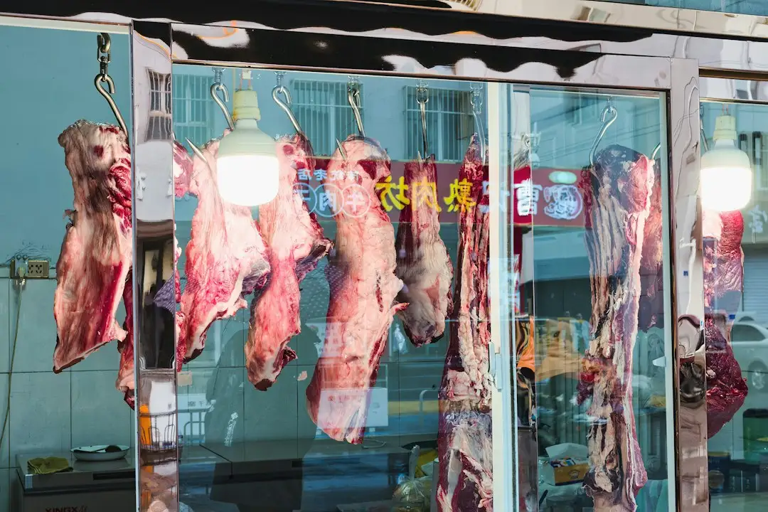 深圳信展胶业密封胶系列产品型号参数与性能对比分析